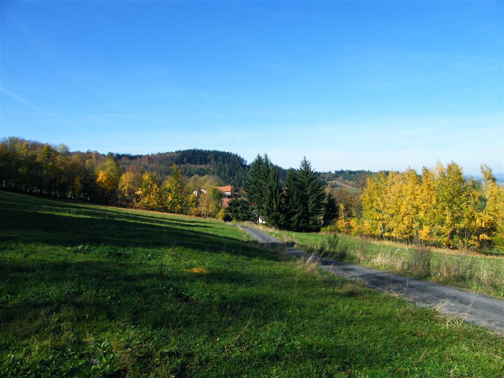 Biny podzim 2008