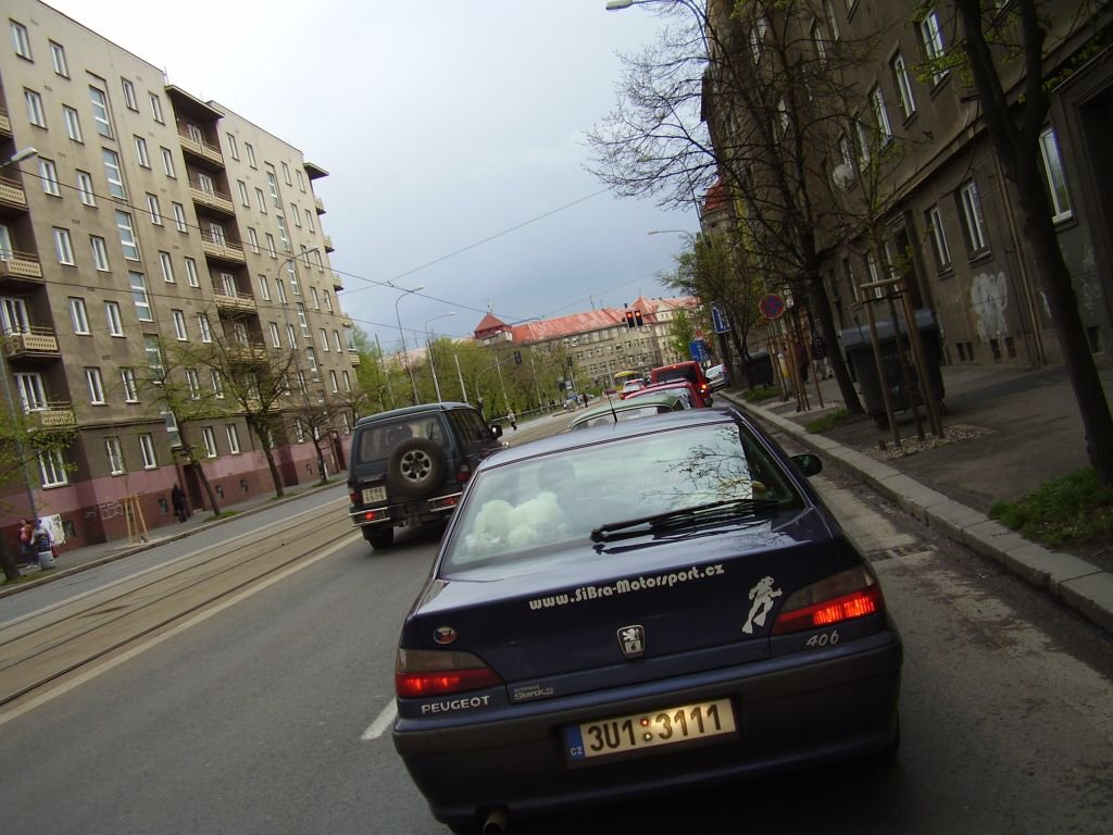 Biny 2008, cesta na sraz