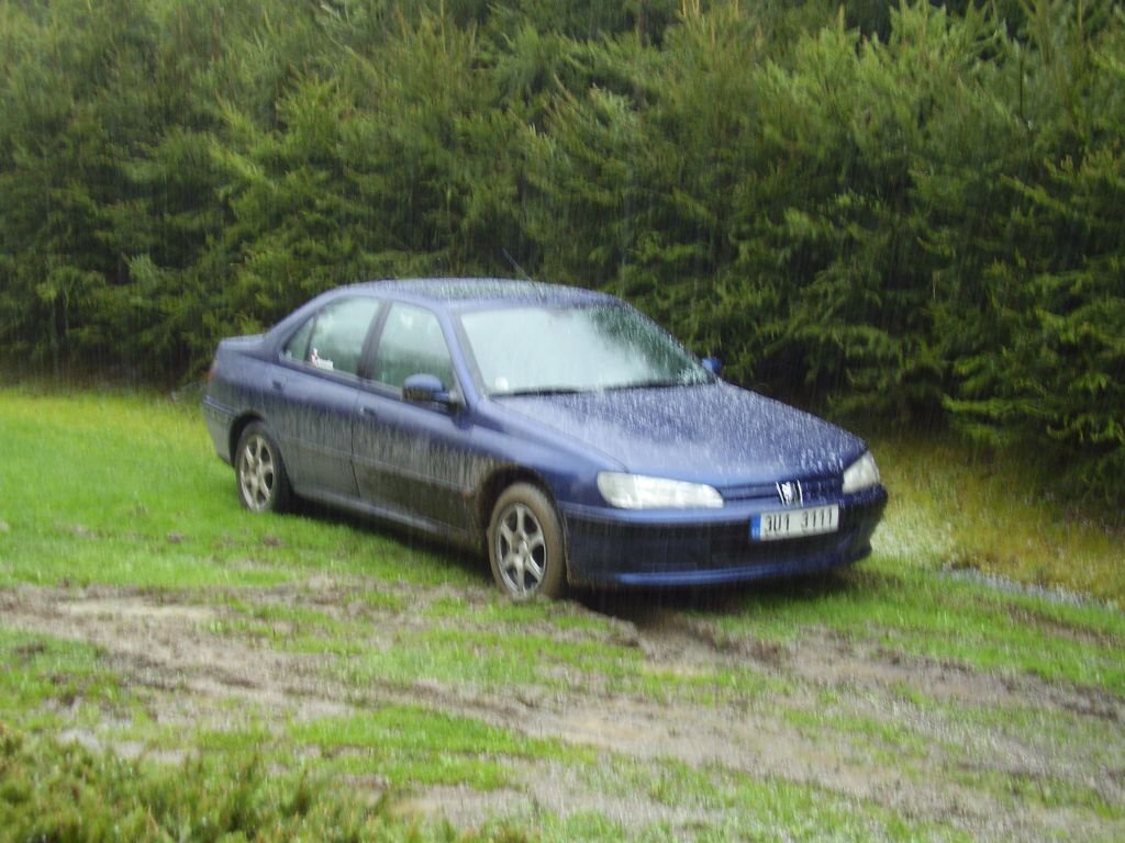 Biny 2008, z kempu SiBra