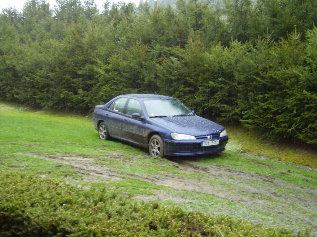 Biny 2008, z kempu SiBra