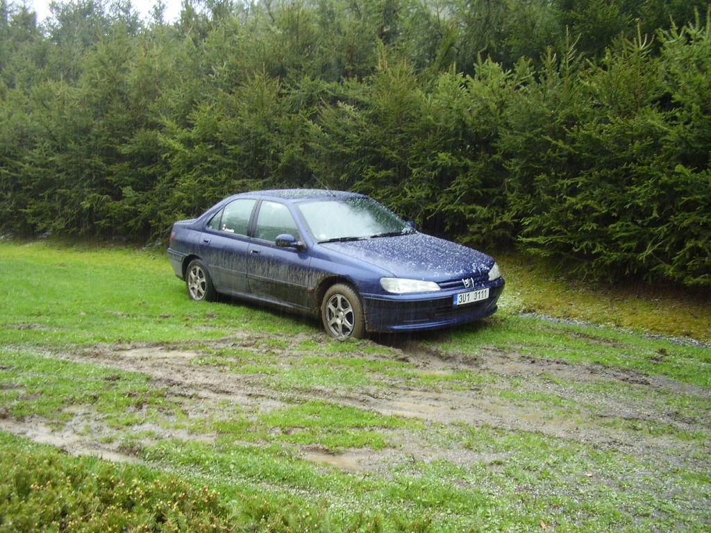 Biny 2008, z kempu SiBra