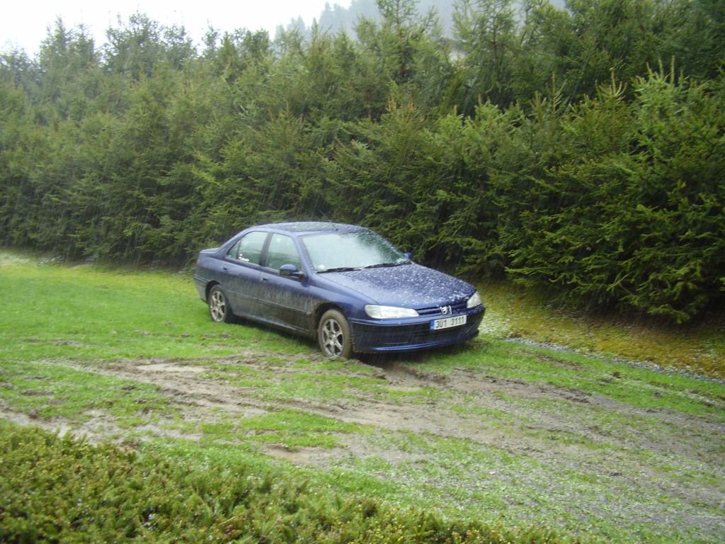 Biny 2008, z kempu SiBra